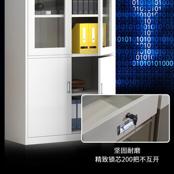穆运 文件柜钢制铁皮柜资料柜档案柜储物柜 大器械