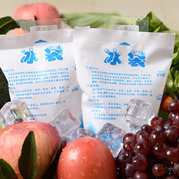 飞尔（FLYER）注水冰袋 保鲜冷藏袋保冷袋 10只/件【200ML】10件起订