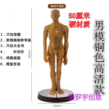 星罗宇创意中医针灸穴位人体模型人偶医学全身经络穴位图扎针练习小皮
