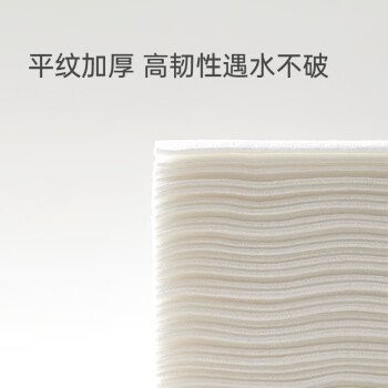 洁丽雅（Grace）棉柔巾100抽100%纯棉全棉干湿两用成人婴儿洗脸巾可企鹅时代系列