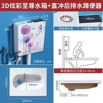 星期十 B款无S弯后排水+至尊水箱陶瓷蹲便器冲水箱套装大便器防臭蹲坑便池定制
