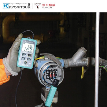 日本共立/克列茨（KYORITSU）2500 泄漏电流钳形表 过程信号测试仪