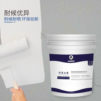 阿斯密 ASMES ASW610 全天候高级外墙漆防水防晒 环保乳胶漆耐久水漆面漆 20kg 浅灰色