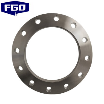 FGO 不锈钢法兰 316L平焊法兰盘  锻打突面板式 RF PN16 1片 1.6mpa DN200