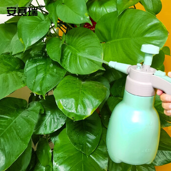 安赛瑞 喷雾器 按压式多功能喷水壶 园艺浇花壶压力清洁工具 1L 26915