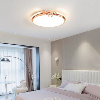 房间灯创意圆形现代简约网红卧室灯具x0106玫瑰金色直径43cm小爱智能