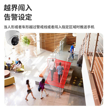 dahua大华400万网络高清半球摄像机 POE供电可拾音 内置音频监控摄像头HDW2443T-A-IL 焦距3.6mm