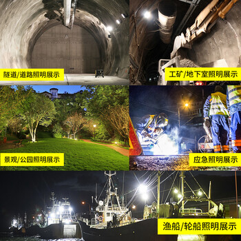 龙代（longdai）LED投光灯 低压12V-60V户外防水球场照射灯广场工地灯泛光灯 低压光效强100W工程白光款