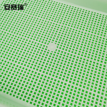 安赛瑞 芽苗菜盘 双层芽苗菜育苗盘小麦水培植盆育苗盆双层多功能芽菜盘 内盘32.3×23.5×3.6cm 绿色 530515