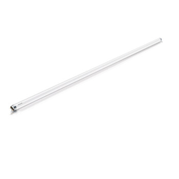 飞利浦照明 企业客户 LED灯管 飞凡灯管 T8 600mm 8W 冷白光 6500K 整箱20只优惠装（单端供电）