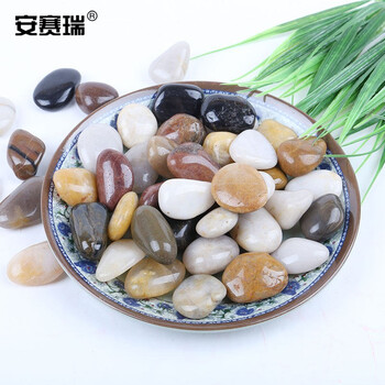 安赛瑞 鹅卵石（5kg）小石子鹅卵石庭院多肉铺面园林石雨花石高抛五彩石石径1-3cm 500063