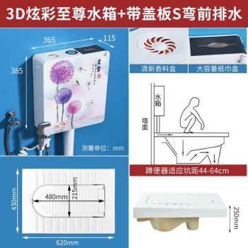 星期十 A款带S弯前排水+3D水箱 【二代带盖板】陶瓷蹲便器冲水箱套装大便器防臭蹲坑便池定制