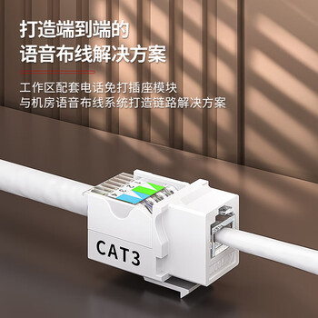 安普康（AMPCOM）电话水晶头4芯 电信工程级6P4C语音电话线连接头高品质RJ11镀金15U电话机接插头100个AMCAT34100