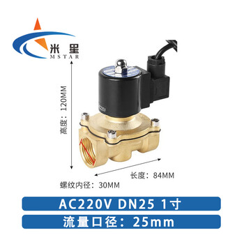 米星 电磁阀 二通喷泉常闭电子控制直动 AC220V DN25 1寸
