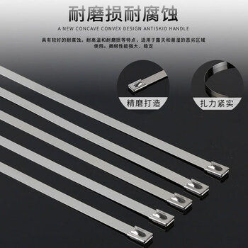 飞尔（FLYER）201不锈钢扎带 白钢滚珠自锁式金属箍扎带 100根/包【7.9×350MM】