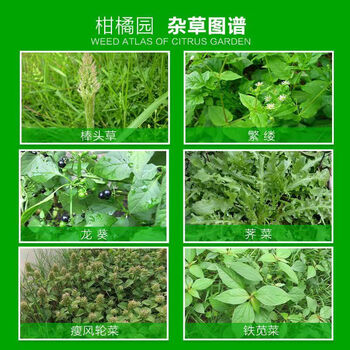 鲸彩蔚蓝 草甘膦铵盐除草剂 50克*50袋