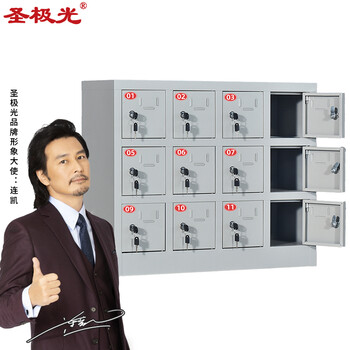 圣极光手机存放柜学校电子设备管理柜简易寄存柜12门可定制G2278