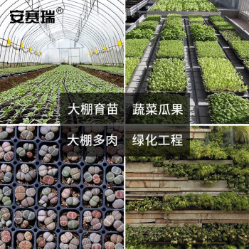 安赛瑞 72孔种植存储盘（150张）菜种育苗穴盘种植箱育苗盒盆栽工具 150克 530398