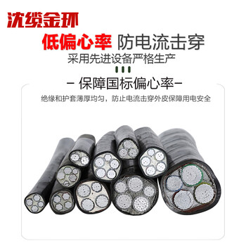 沈缆金环 ZR-YJLV22-0.6/1KV-3*10+1*6mm² 国标铝芯铠装阻燃电力电缆 1米
