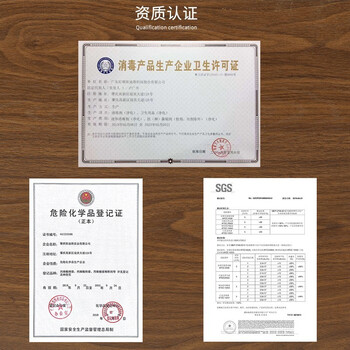 好顺 75%酒精消毒喷剂 室内皮肤设备消毒剂 便携喷雾 自喷型 型号：H-2045 450ml 12瓶