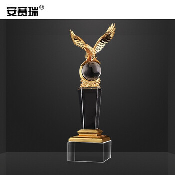 安赛瑞 展示牌定制 企业优秀员工表彰 运动会创意纪念标识  比赛颁奖礼品 水晶奖杯 精英世界28cm 701129