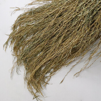 赫思迪格 JG-399 竹子扫把（10个） 竹扫帚 马路工地扫把 环卫大扫帚 竹竿扫帚 3.6斤（加竹杆）10个装