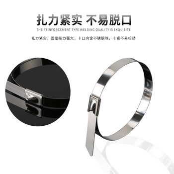 飞尔（FLYER）自锁式304不锈钢金属扎带 园林户外工业耐腐蚀耐高低温扎线带 100条【15×0.4×400mm】