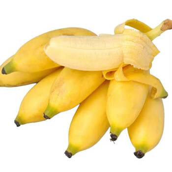 仙迹寻踪广西小米蕉 新鲜香蕉 酸甜小香蕉粉蕉时令水果4.5kg当季小芭蕉