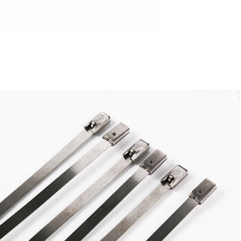 飞尔（FLYER）不锈钢扎带 304不锈钢绑扎带 不锈钢自锁扎带【2×120cm 厚0.4mm】5包起批