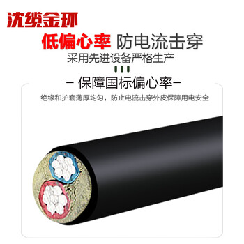 沈缆金环 ZR-VLV-0.6/1KV-2*25mm² 国标阻燃铝芯电力电缆 1米