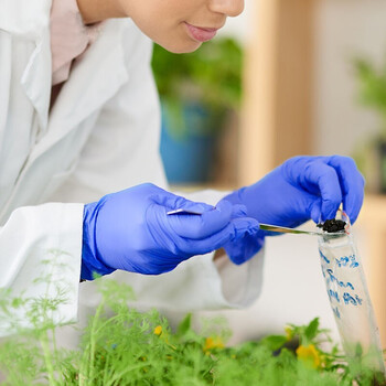 爱马斯(AMMEX)一次性蓝色丁腈手套加厚食品实验室清洁检查手套【ACBN4620】L码 定做 1盒（20只/盒）