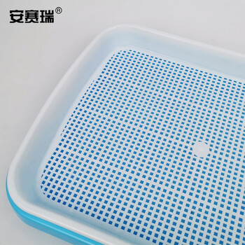 安赛瑞 芽苗菜盘 双层芽苗菜育苗盘小麦水培植盆育苗盆双层多功能芽菜盘 内盘32.3×23.5×3.6cm 蓝色 530518