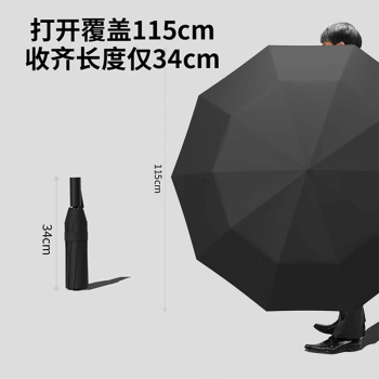 京东京造 雨伞 自动折叠伞便携太阳伞遮阳男士晴雨两用大号 双人伞10骨