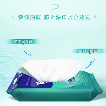 得宝（TEMPO）杀菌湿巾 12片*5包 便携装  湿巾小包 杀菌率99.9% 防护湿巾