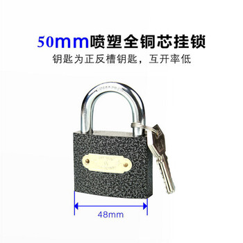 五环精诚 铜芯铁挂锁定制通开 安全防盗抽屉柜子电力表箱锁子 50mm 1把装 
