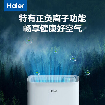 海尔（Haier）除湿机/抽湿机 京东小家智能生态 除湿量20升/天 家用除湿机轻音干衣除湿器 app智控 CF20-PK1