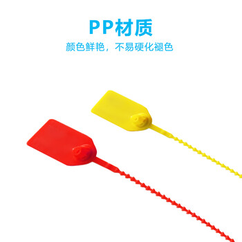 飞尔（FLYER）塑料铅封 一次性封条带防调包扣物流封条 防伪标牌标签扎带100条【25×1.9cm】