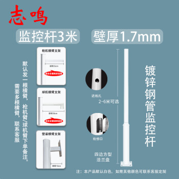 志鸣 监控立杆小区公园物业学校道路镀锌钢管监控杆摄像头支架 镀锌钢管3米（壁厚1.7mm）