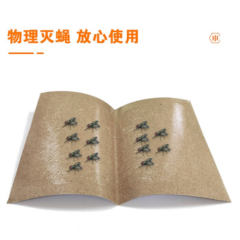 安赛瑞 黏蝇纸 强力粘蝇板苍蝇贴纸捕蝇粘 20片装 710674