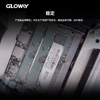 光威（Gloway）16GB DDR4 2666 笔记本内存条 战将系列
