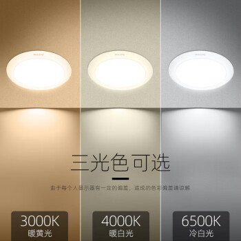 PHILIPS飞利浦明欣系列超薄LED筒灯DN200B冷光6500K开孔150mm13W 1个