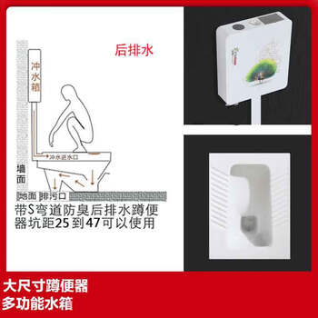 星期十 带弯后排水（豪华款水箱） 大尺寸蹲便器水箱套装陶瓷卫浴蹲坑蹲厕式整套便池防臭大便器定制
