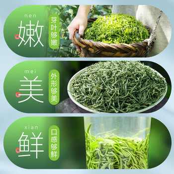 乐品乐茶绿茶毛尖茶叶特级250g  2024新茶明前春茶嫩芽自己喝礼盒装