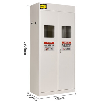 京度气瓶储存柜  双瓶实验室压缩气体柜医院高压实验室安全储存柜无报警器可定制 白色