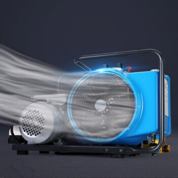 谋福(CNMF)205空气呼吸器充气机30MPA高压打气机呼吸空气填充泵消防潜水气泵大排量100L【(精品配件)】