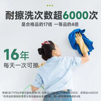 立邦抗甲醛净味五合一乳胶漆18L