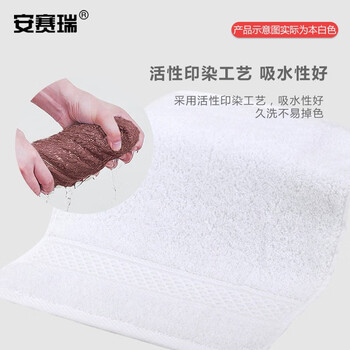 安赛瑞  方巾 吸水加厚擦手巾 34x34cm 棉柔软吸水小毛巾 (2条装) 酒店宾馆美容院方巾 白色 710894