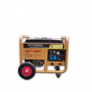 大泽动力 250A 汽油发电电焊机 TOTO250A -Y
