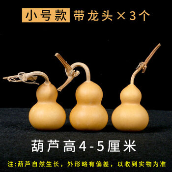 天然小葫芦挂件野生文玩手捻手把件大葫芦摆件车挂饰品带龙头(带龙头