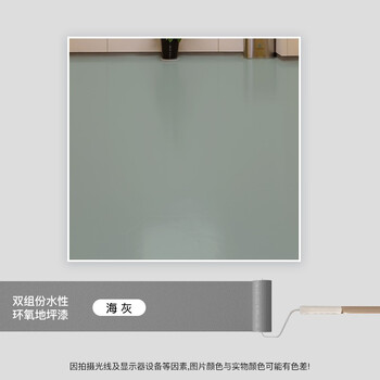 阿斯密 ASMES AS6215M 双组份水性环氧平涂哑光地坪漆面漆 20kg 海灰